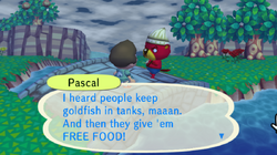 Animal Crossing: New Horizons - Giving a Scallop to Pascal 