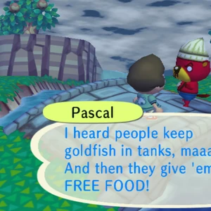 pix Pascal Animal Crossing Quotes pascal animal crossing quotes