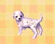 (#54) Dalmation ornament