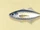 Horse mackerel