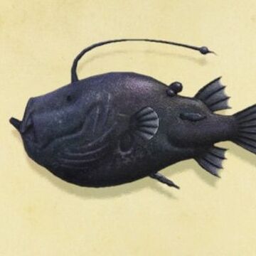 Football fish | Animal Crossing Wiki | Fandom
