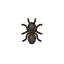 Ant HHD Icon.png