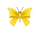 Papillonœud jaune