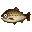 Stringfish (New Leaf icon).PNG