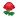 NH-red mum icon