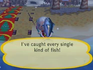 A player collecting the last fish species in City Folk.