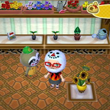 Gardening Store Animal Crossing Wiki Fandom