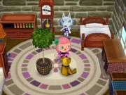 La maison de Blanche dans Let's Go to the City