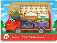 La carte amiibo de Cashmir