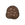 Champignon(s) rare(s)