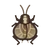 鈴蟲