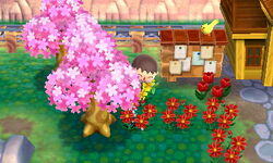 Sakura Zen Garden Set - Animal Crossing Wiki - Nookipedia