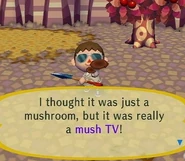 MushTV.jpg (55 KB) Finding furniture hidden as mushrooms in City Folk