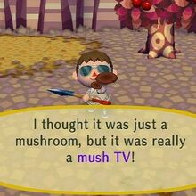 Featured image of post Mush Lamps Animal Crossing - New horizons winter update is coming on november 19th with brand new seasonal events, reactions, hair styles, save transfer, and more new features!