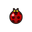 NH-Icon-ladybug