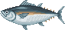Tuna (Wild World)