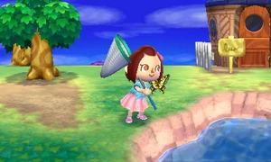 Animal-Crossing-New-Leaf-1-