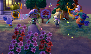 NL-ceremonyParty
