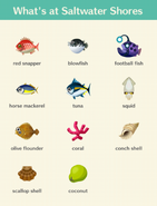 The fish and items formerly found at Saltwater Shores.