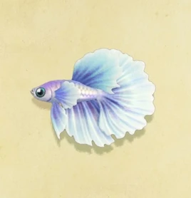 Betta-0