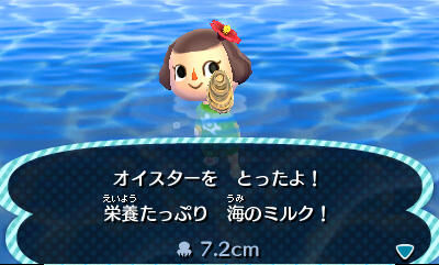 Scallop, Animal Crossing Wiki