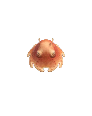 Umbrella Octopus Animal Crossing Wiki Fandom