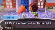 Aimé mécontent du fruit pourri que lui a donné le joueur