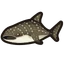 NH-Icon-whaleshark