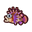 NH-Icon-zebraturkeyfish