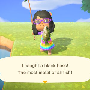 Black Bass Animal Crossing Wiki Fandom More officially licensed animal crossing: black bass animal crossing wiki fandom