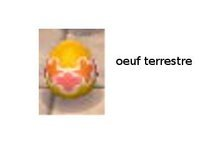 Fete Des œufs Animal Crossing Wiki Fandom Fete Des œufs Animal Crossing Wiki Fandom