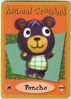 E-Card de Poncho
