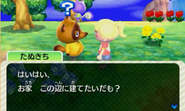 The New Leaf Japanese Beta Text Box