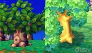 A tree from Animal Crossing City Folk and a tree from the old build of New Leaf.