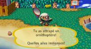 Le joueur ayant attrapé un ornithoptère dans Let's Go to the City