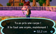 Pêche de la carpe dans New Leaf