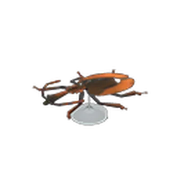 Violin Beetle Model Animal Crossing Wiki Fandom