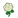 NH-white rose icon