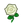 NH-white rose icon