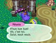 Pétunia765701.png (449 kio) Pétunia parlant au joueur dans Animal Crossing
