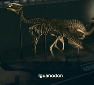 L'iguanodon dans New Horizons