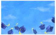 NH-Graduation card