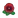 NH-red pansy icon