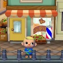 Chez Marilin Animal Crossing Enciclopedia Fandom
