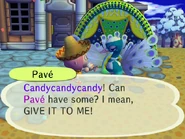 Crazypave.jpg (88 KB) Crazypave