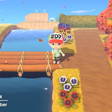 Maple Leaf Season Animal Crossing Wiki Fandom