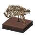 NH-Furniture-ankylotorso.png