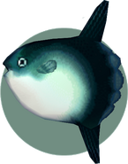 Lune de mer dans Let's Go to the City