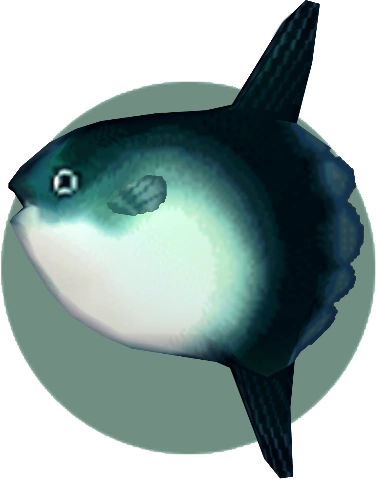 Ocean Sunfish Animal Crossing Wiki Fandom
