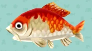 Pocket Camp